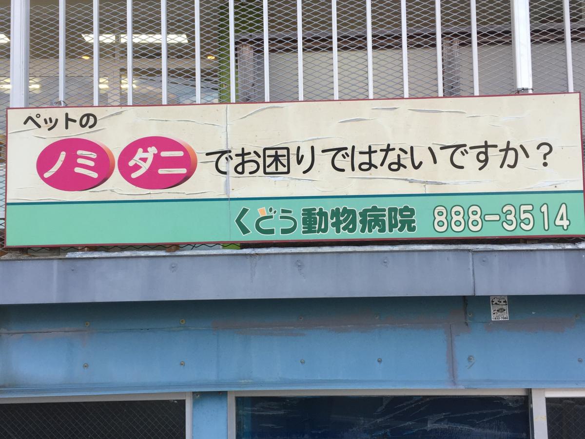 ドッグメディカル くどう動物病院