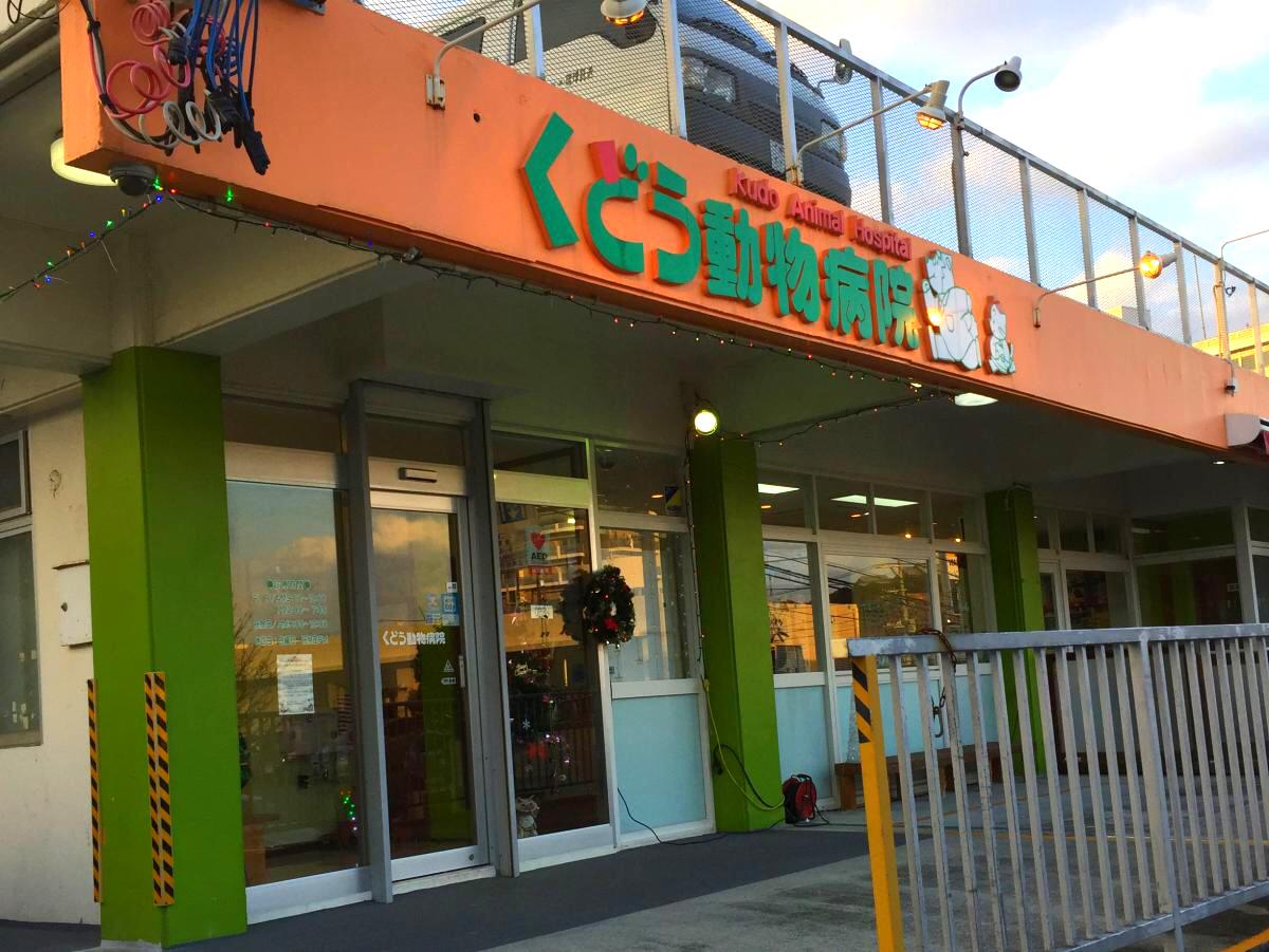 ドッグメディカル くどう動物病院