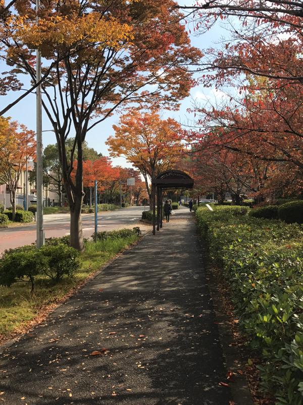 ユキサキナビ 阪急バス 阪大歯学部病院前 バス停留所 吹田市山田丘