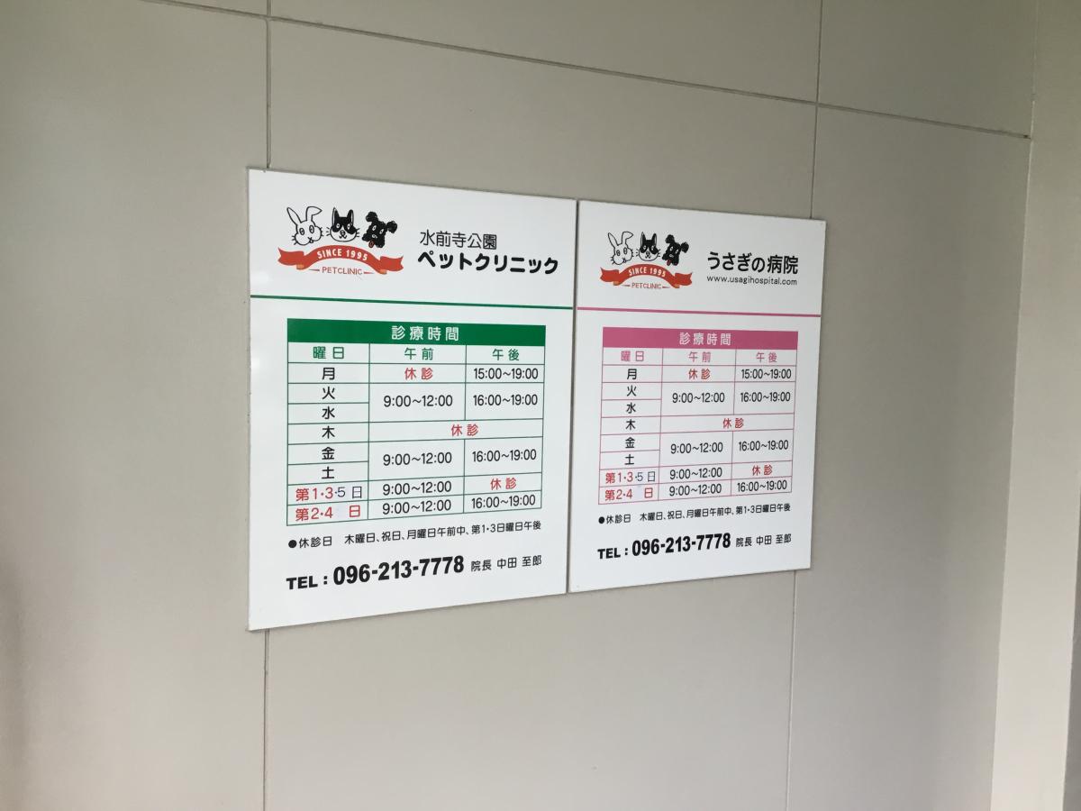 ドッグメディカル 水前寺公園ペットクリニック 熊本市中央区出水