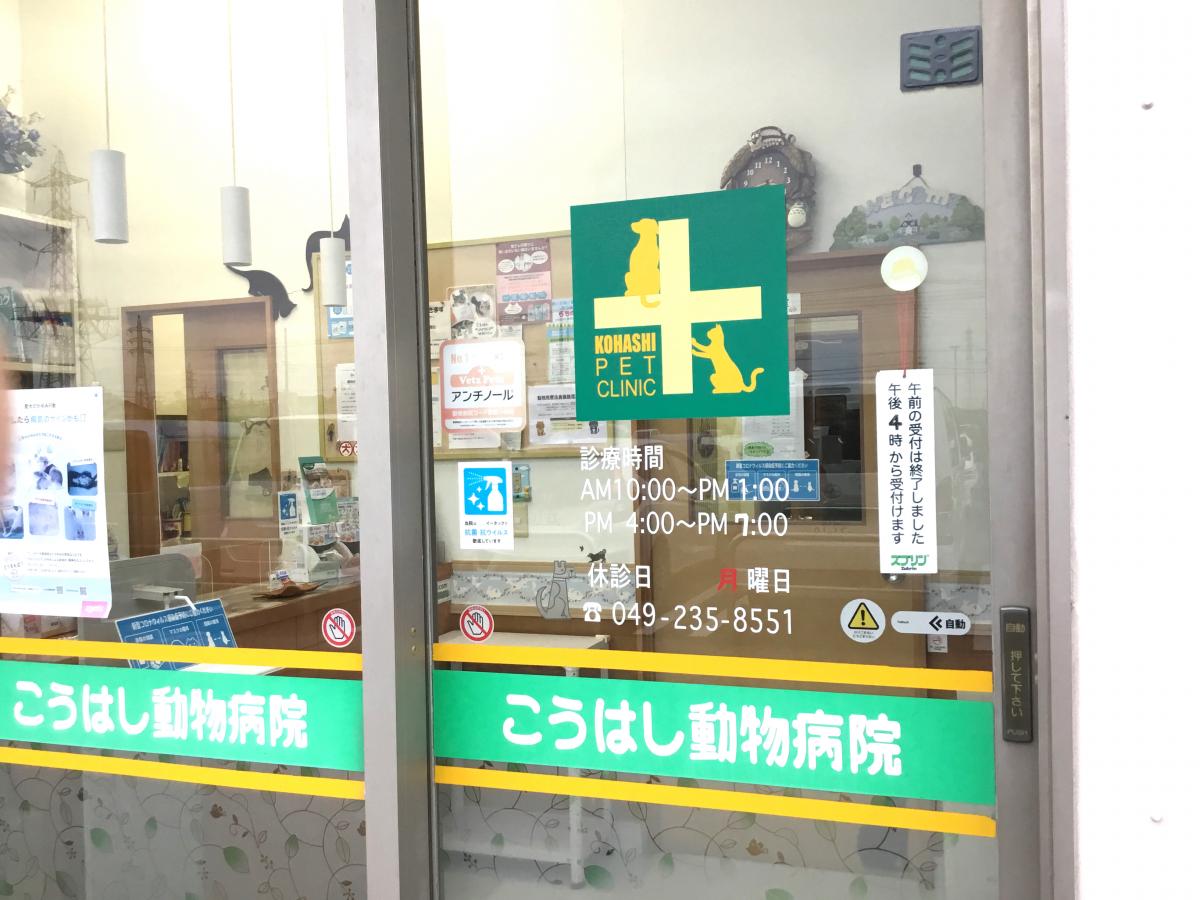 ドッグメディカル こうはしペットクリニック