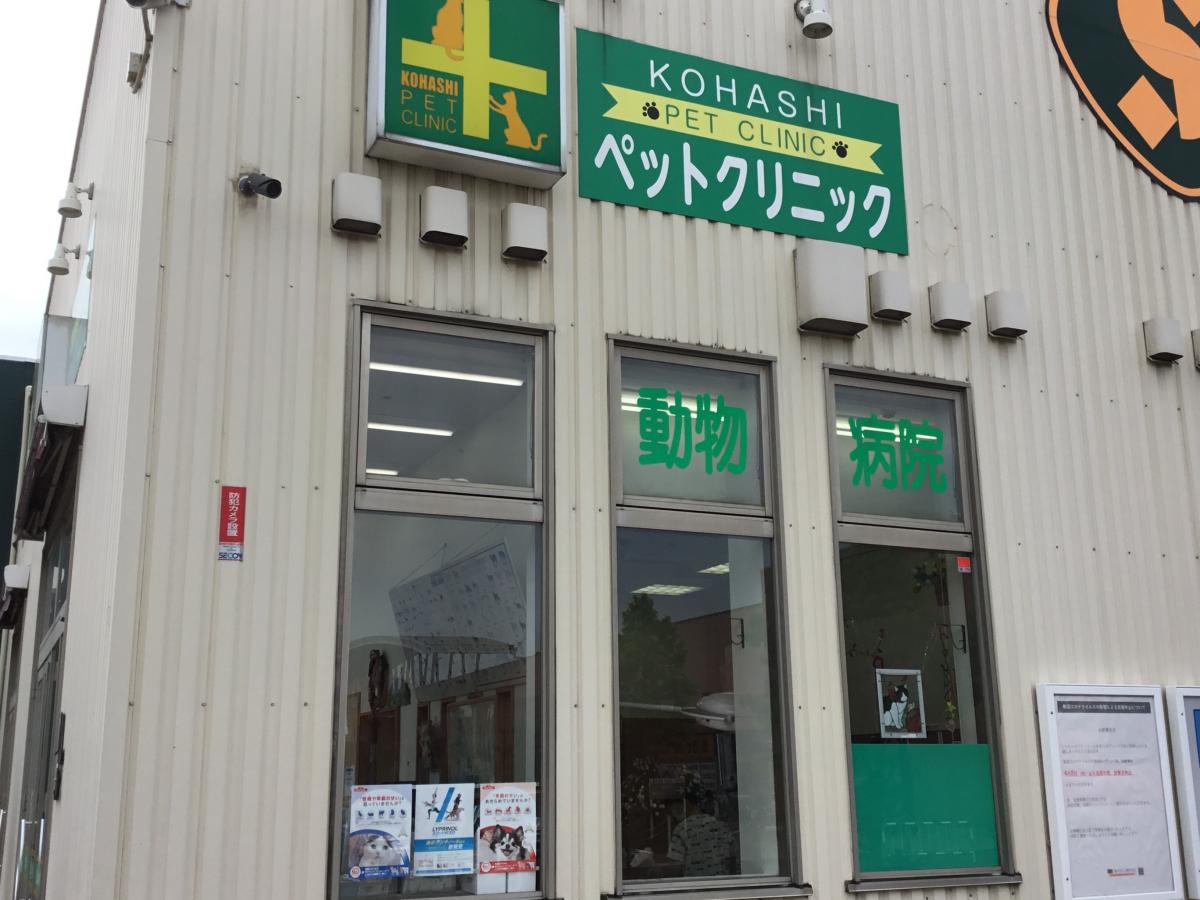 マーケットピア セキチュー川越南古谷店 川越市 周辺施設 口コミ 写真 動画 マーケットピア セキチュー川越南古谷店 川越市 周辺施設 口コミ 写真 動画