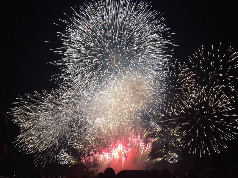 旅探 たびたん みなと舞鶴ちゃったまつり 花火大会のコメント一覧