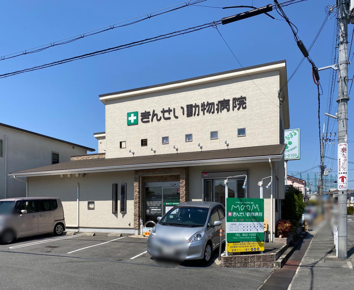 ドッグメディカル きんせい動物病院