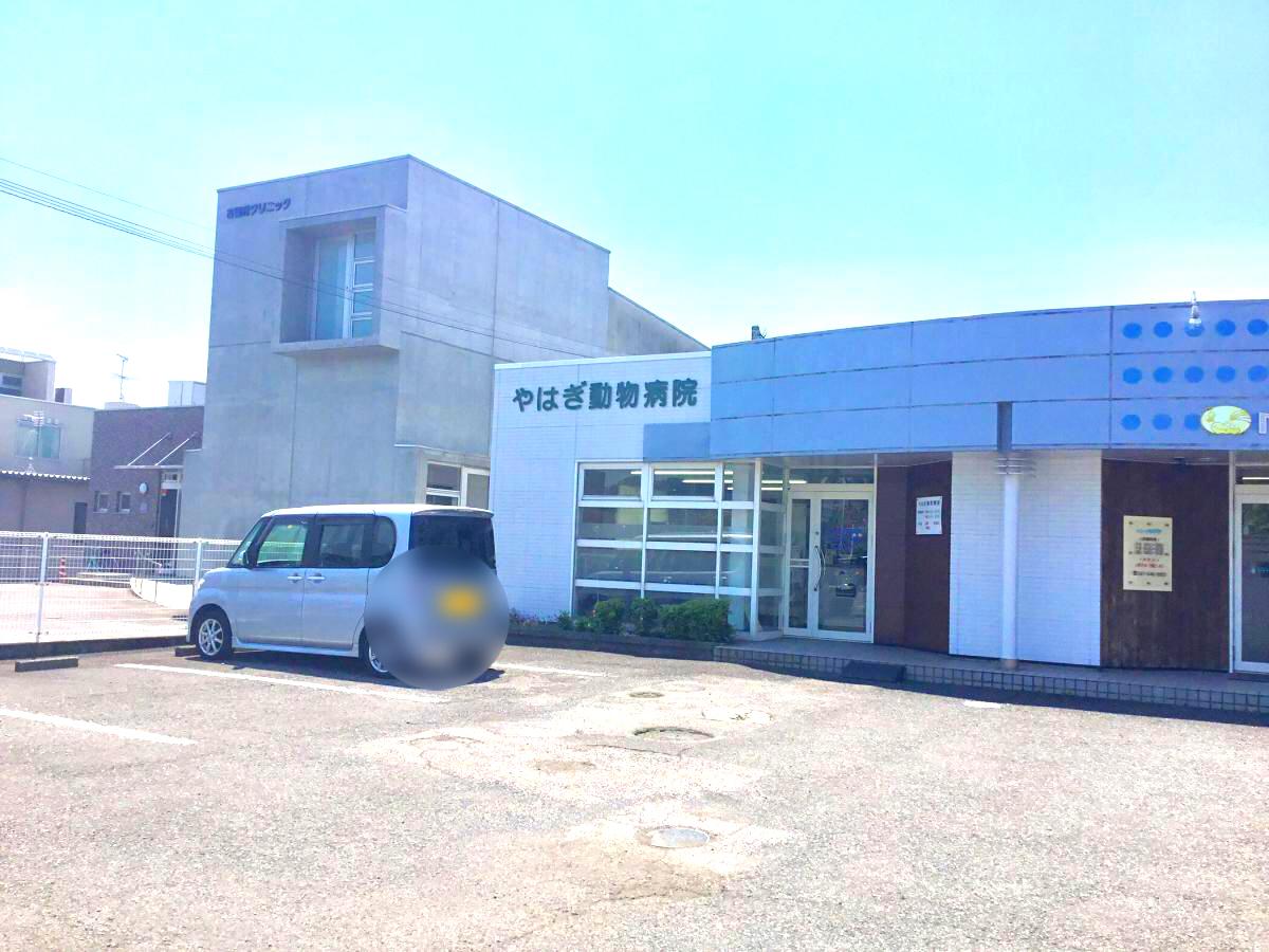 ドッグメディカル やはぎ動物病院 大分市古国府