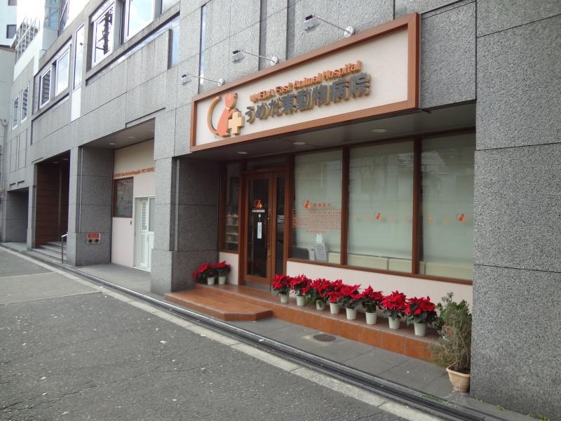 東 病院 うめだ 動物