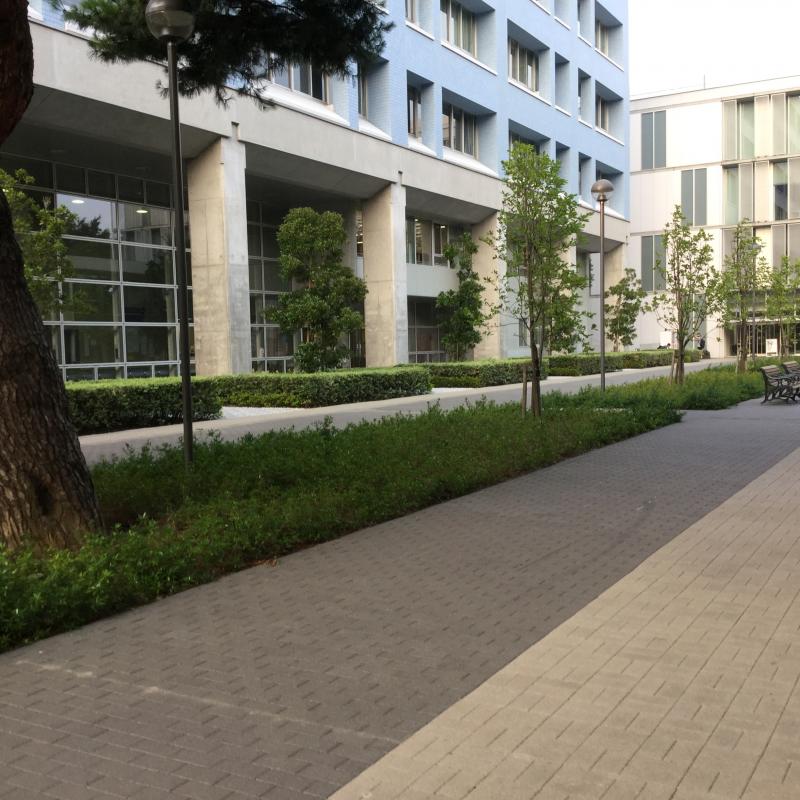 スタディピア 東京経済大学国分寺キャンパス 国分寺市