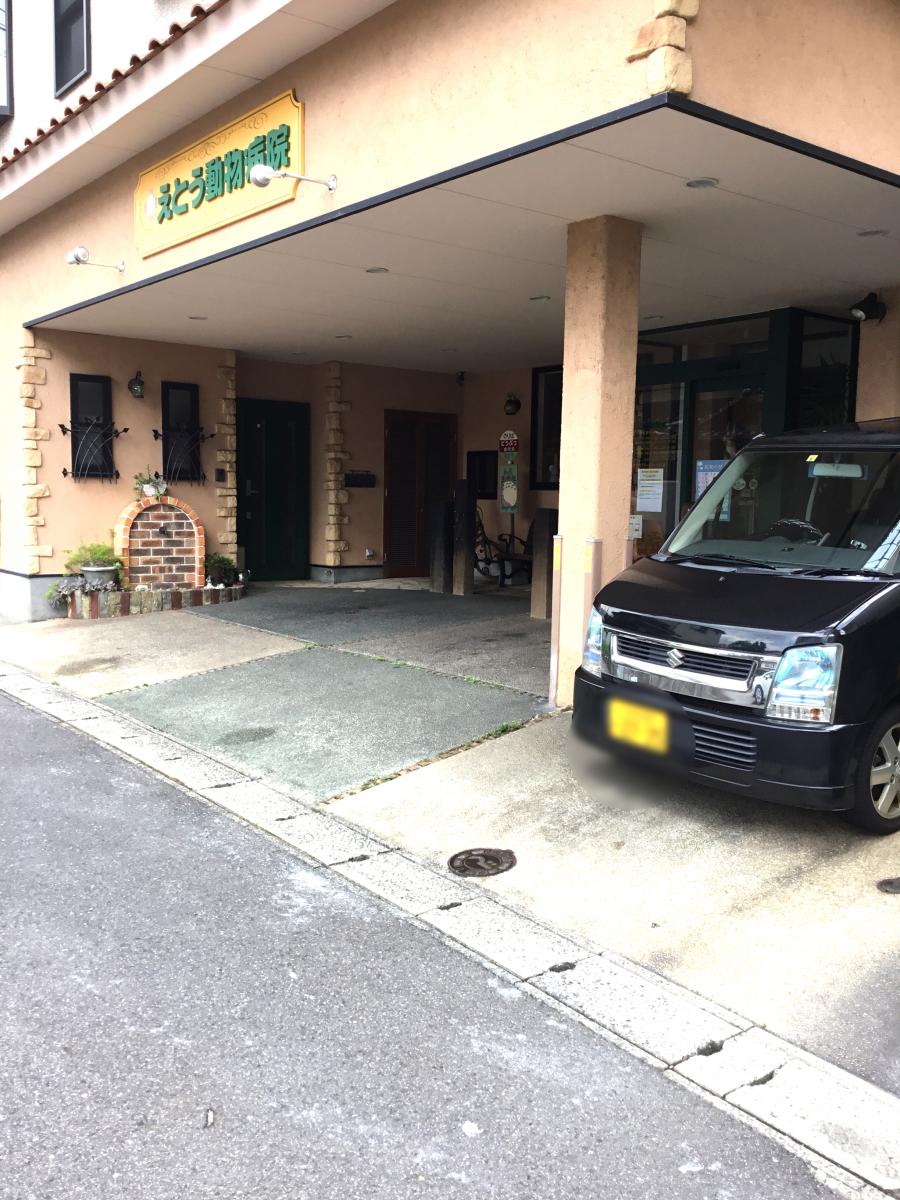 ドッグメディカル えとう動物病院 別府市南的ケ浜町