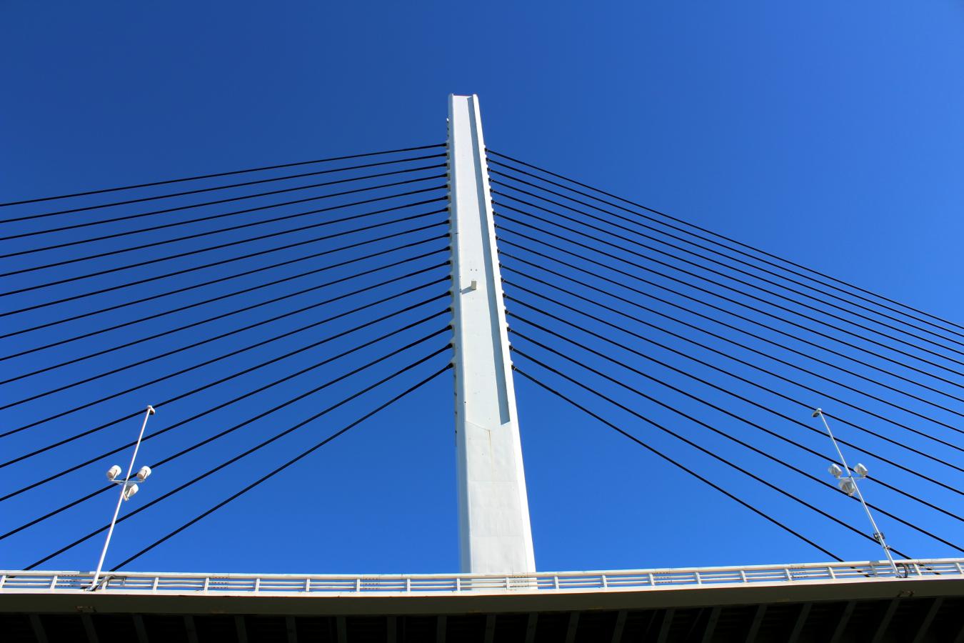 旅探 たびたん かつしかハープ橋