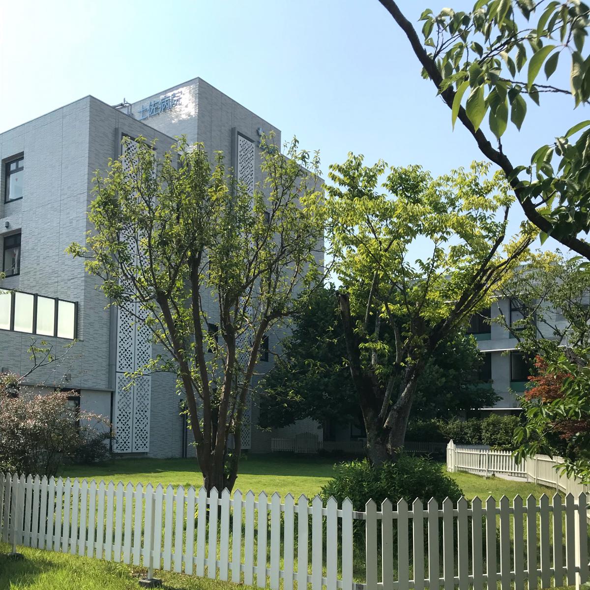 ドクターマップ 土佐病院