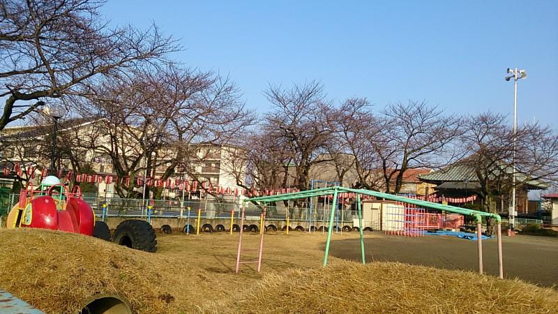 スタディピア しもだい保育園 下都賀郡壬生町駅東町