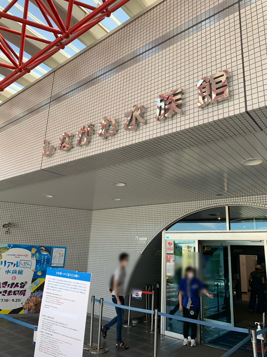 旅探 たびたん しながわ水族館