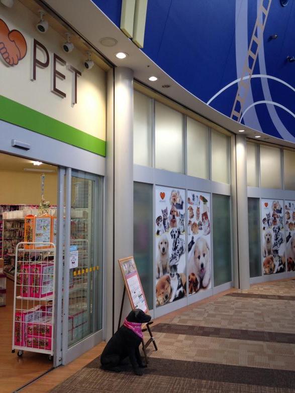 マーケットピア イオンペット伊丹店 伊丹市藤ノ木