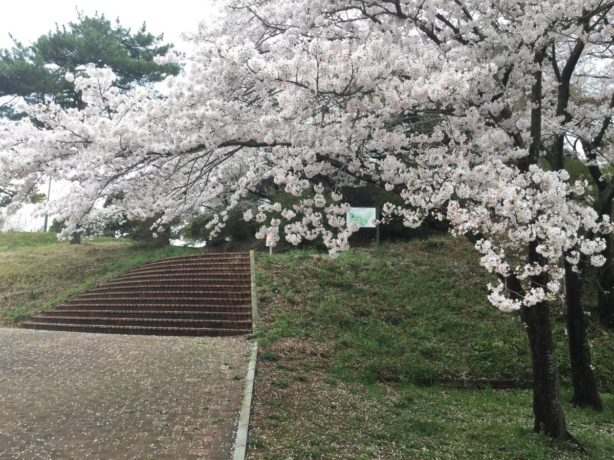 パブリネット 足利公園 足利市