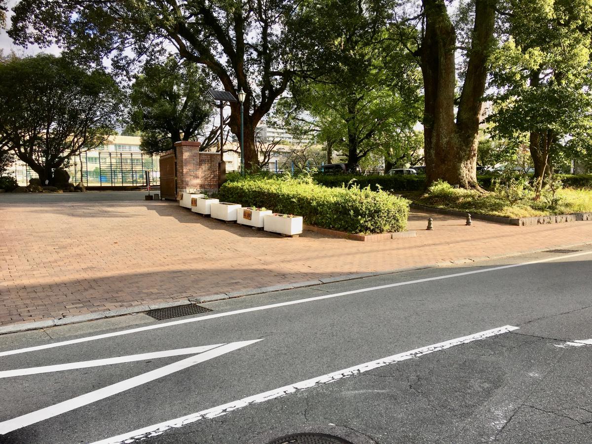 スタディピア 京陵中学校 スタディピア 京陵中学校