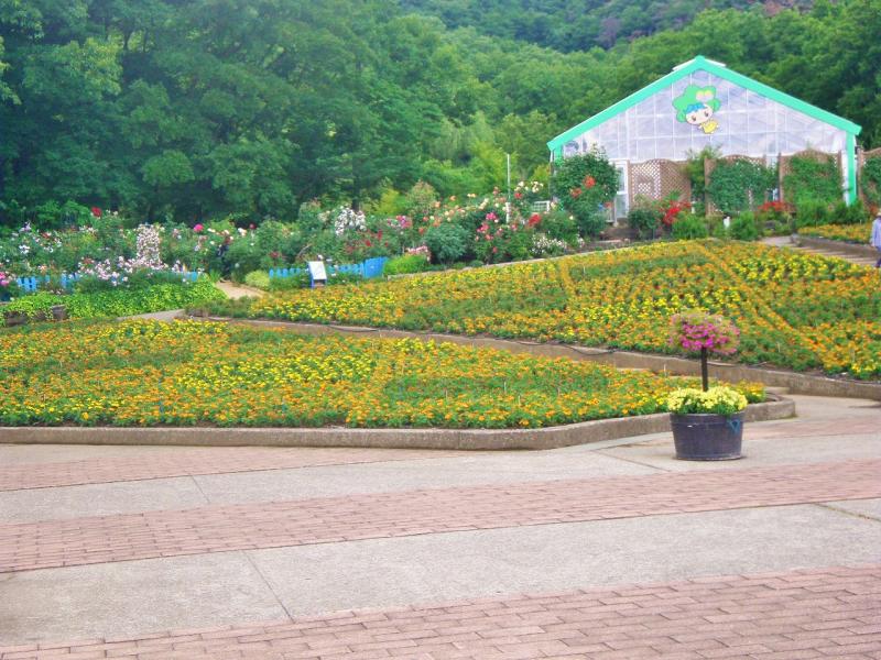 旅探 たびたん とちぎ花センター