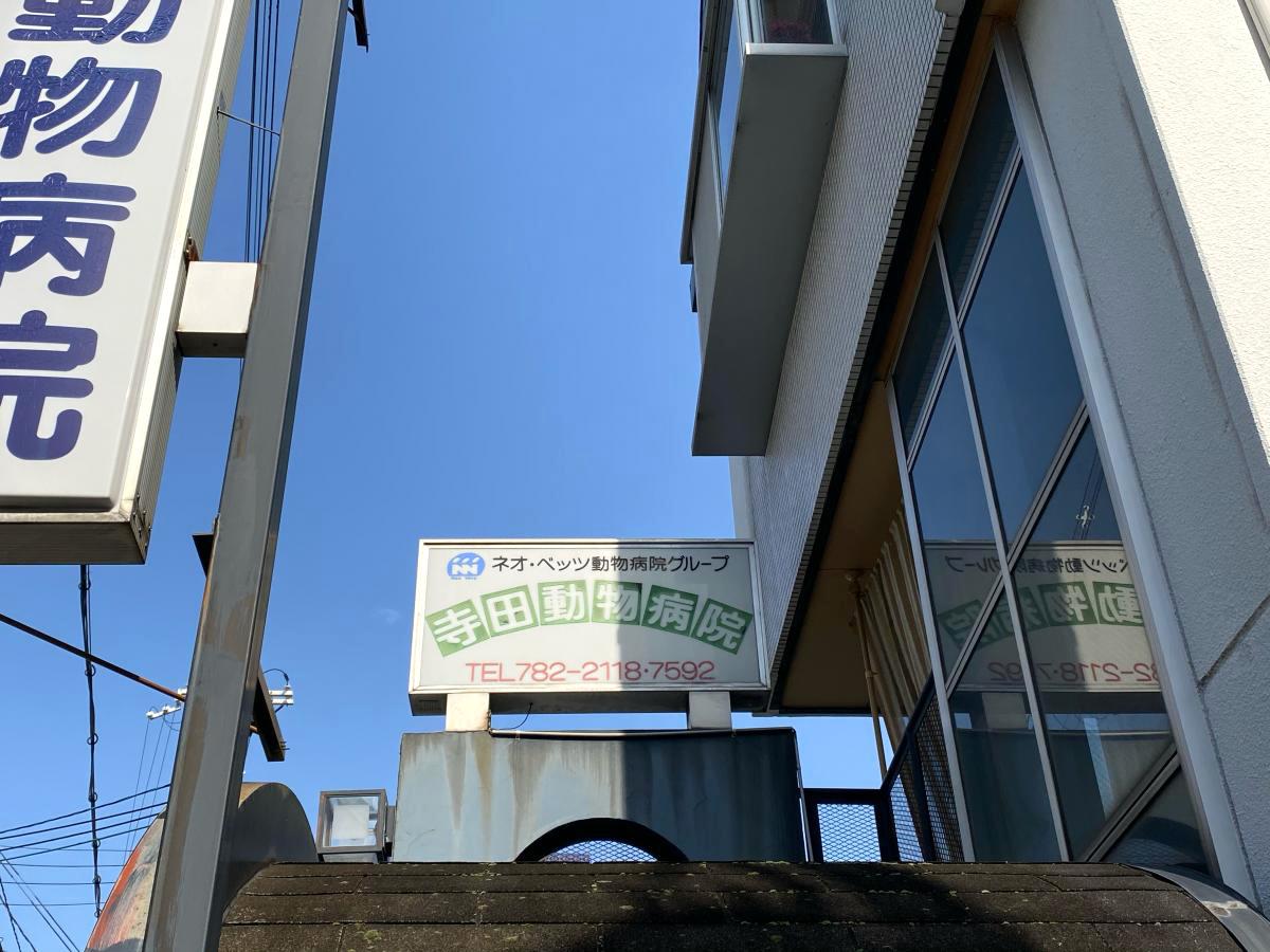 ドッグメディカル 寺田動物病院