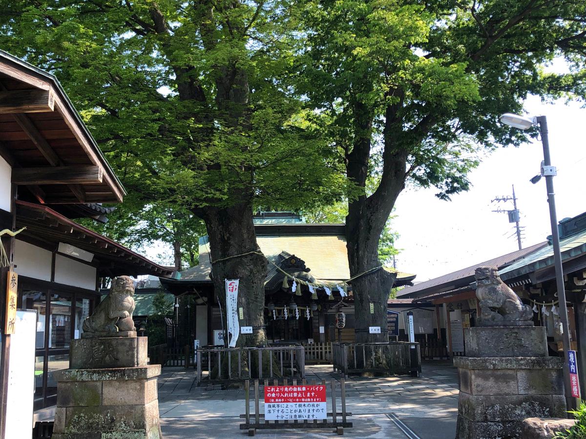 旅探 たびたん 熊野宮