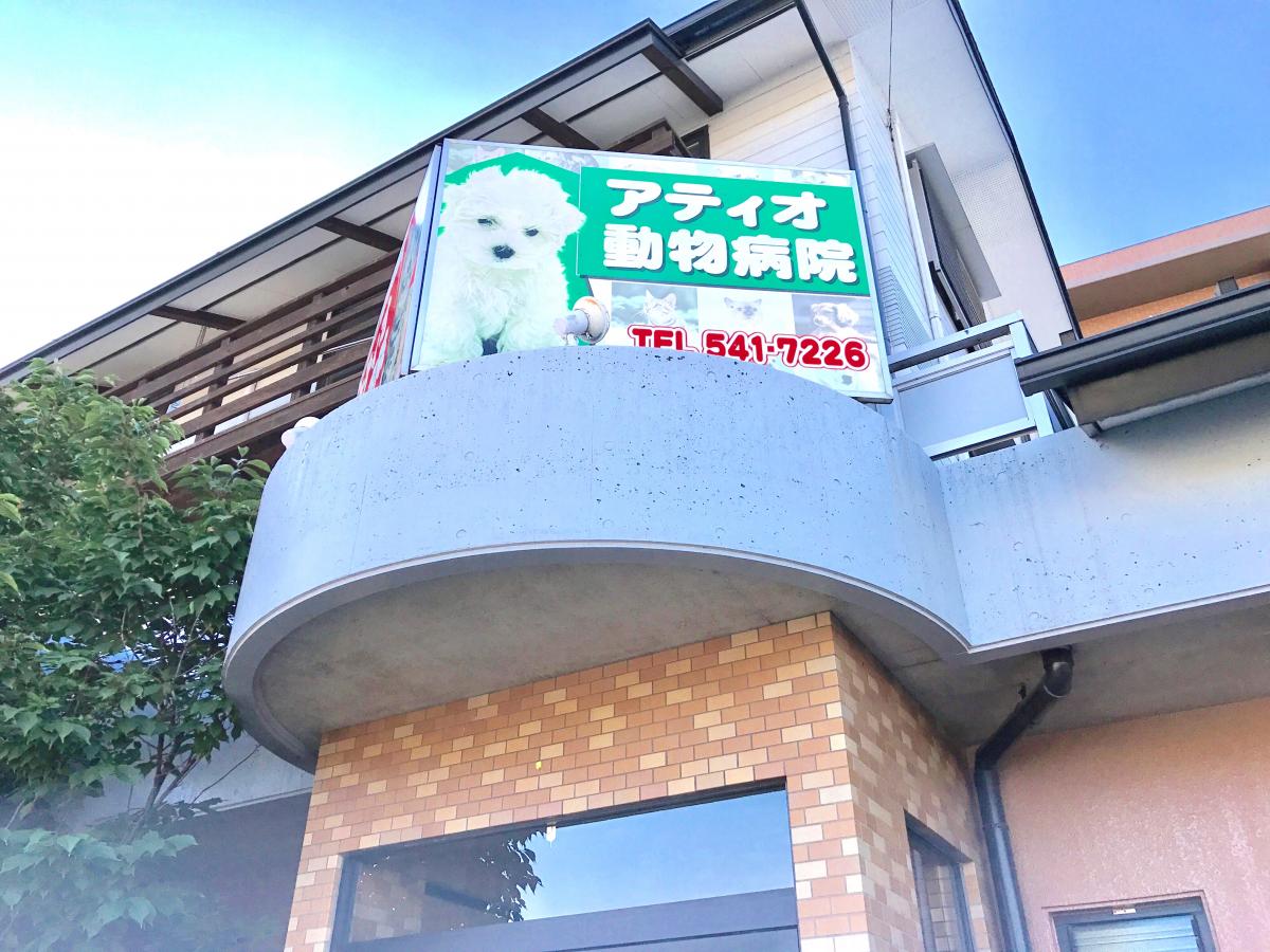 ドッグメディカル アティオ動物病院