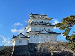 旅探 たびたん 小田原市の観光スポット 旅行 レジャー一覧