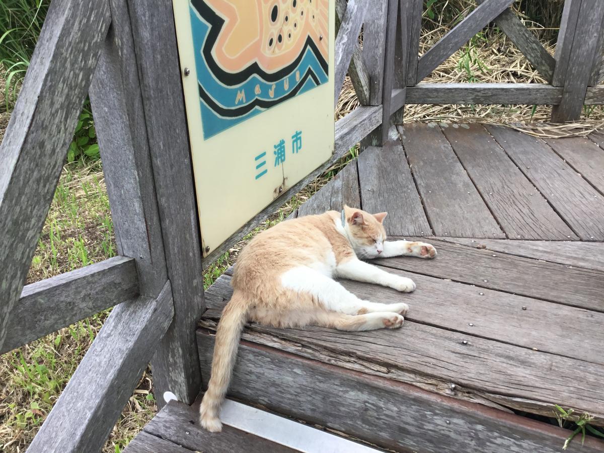 旅探（たびたん）】城ヶ島灯台（三浦市三崎町城ケ島）