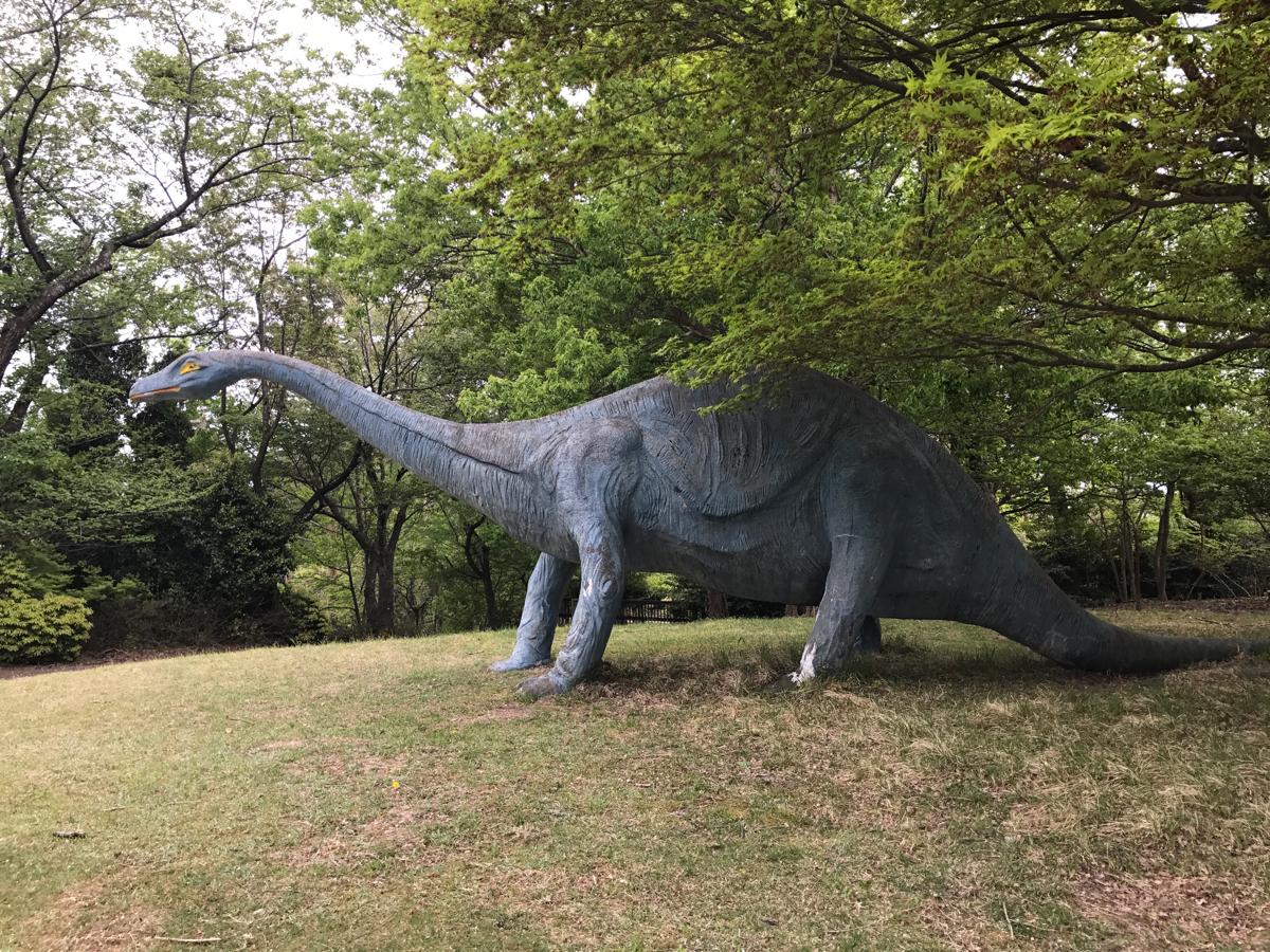 旅探 たびたん 奥びわ湖パークウェイ