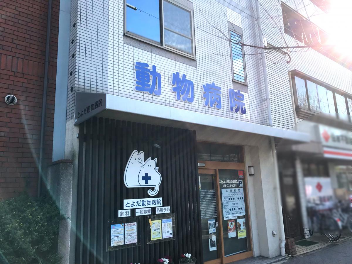 ドッグメディカル とよだ動物病院 京都市左京区下鴨高木町