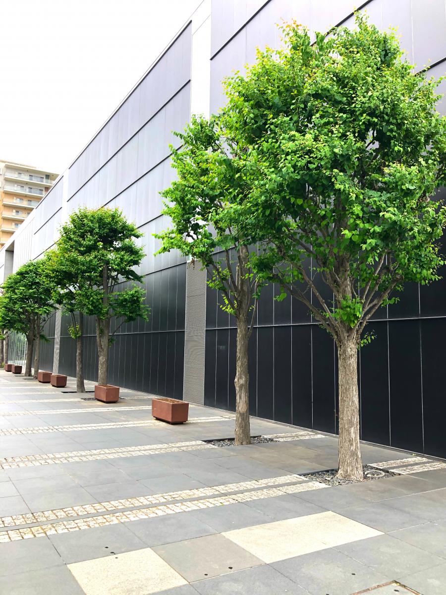 エンタメール つくばカピオ エンタメール つくばカピオ