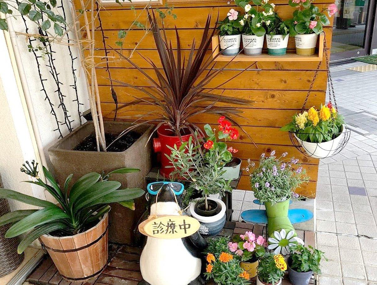 接骨ネット こじま富雄団地接骨院 奈良市鳥見町