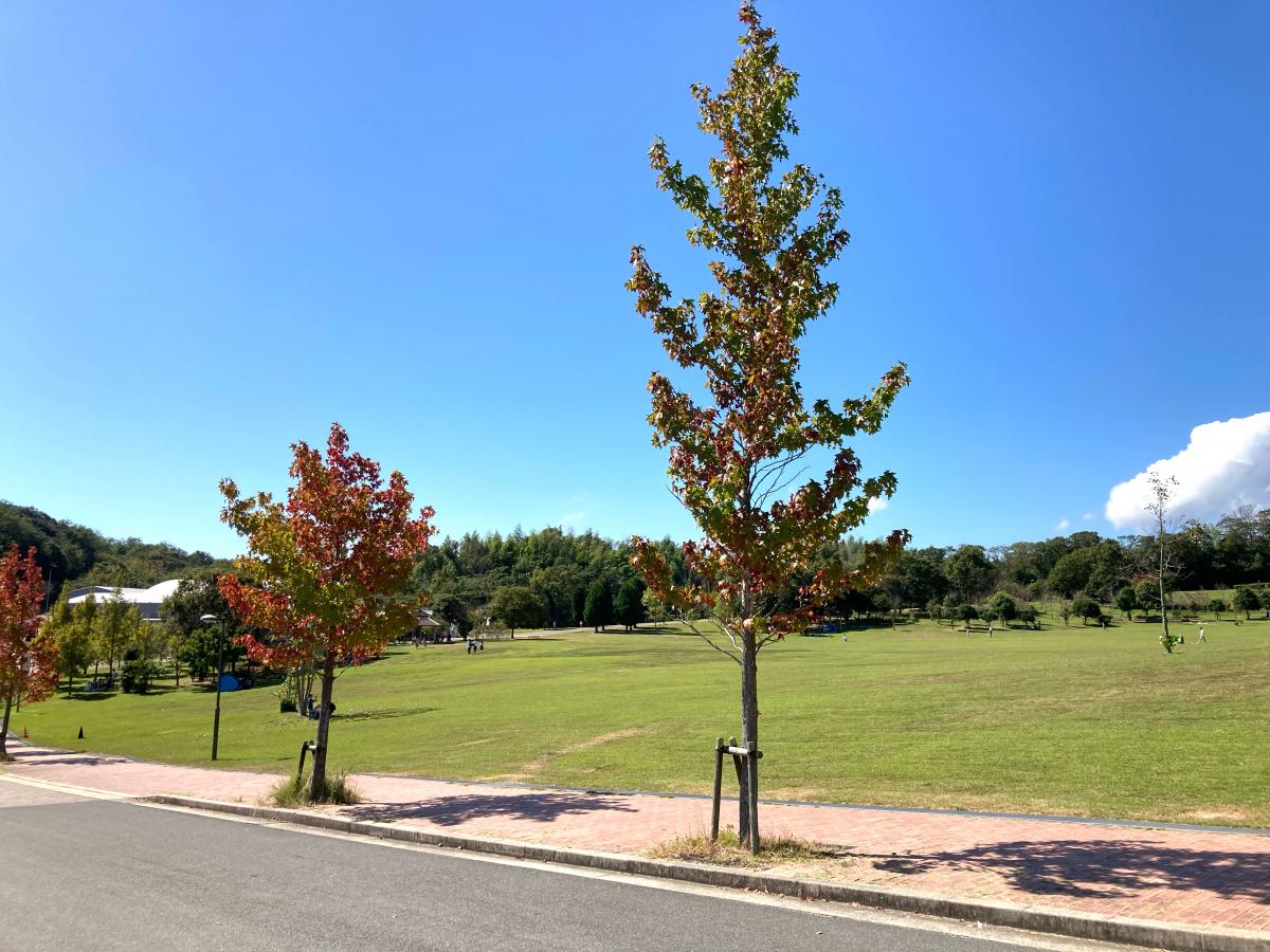 旅探 たびたん 口コミ 淡路島公園淡路ハイウェイオアシス