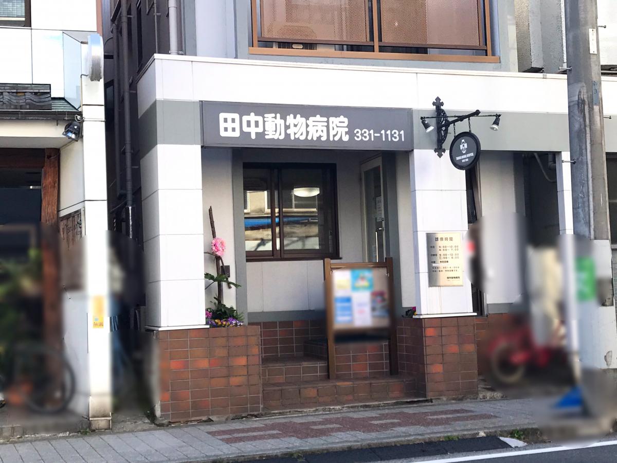 スタディピア 神戸保育園 横浜市保土ケ谷区 周辺施設 口コミ 写真 動画