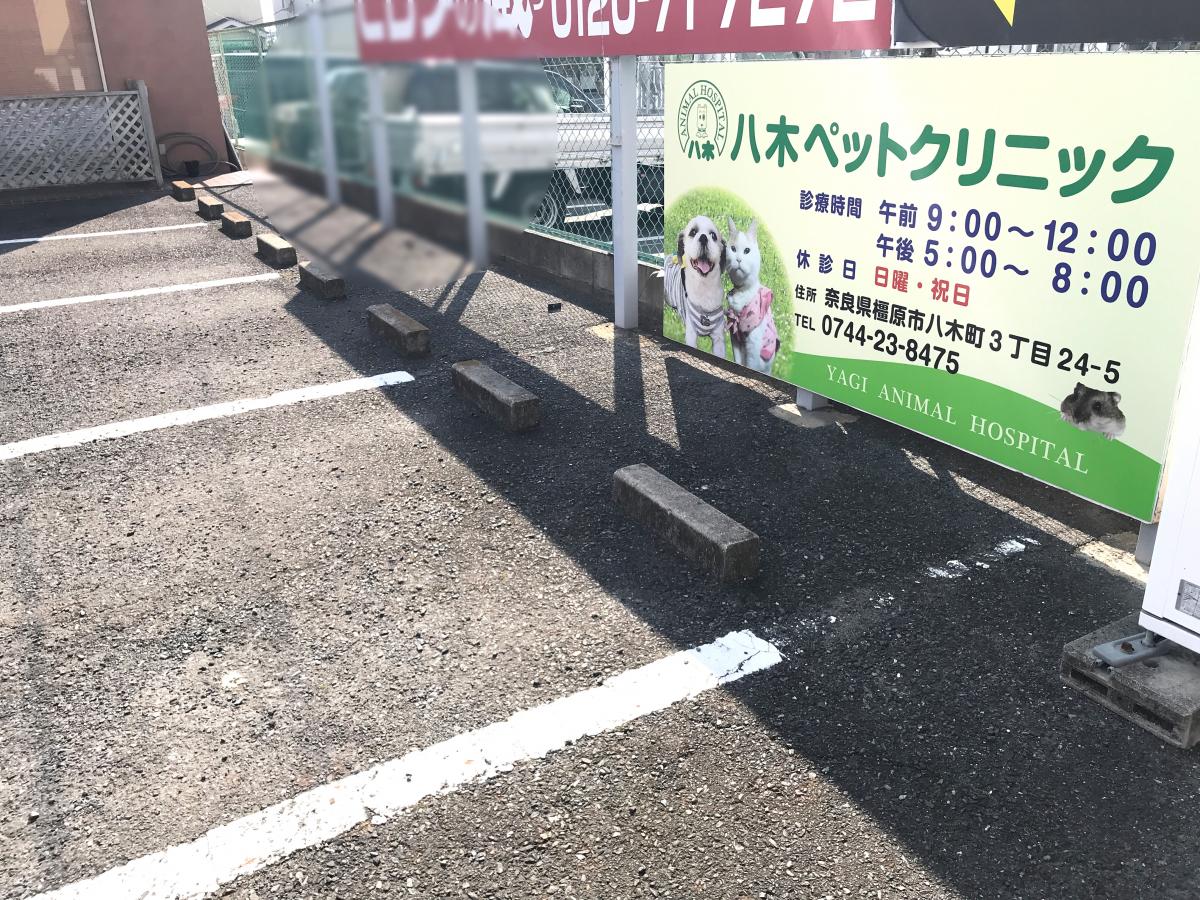 ドッグメディカル 八木ペットクリニック ドッグメディカル 八木ペットクリニック
