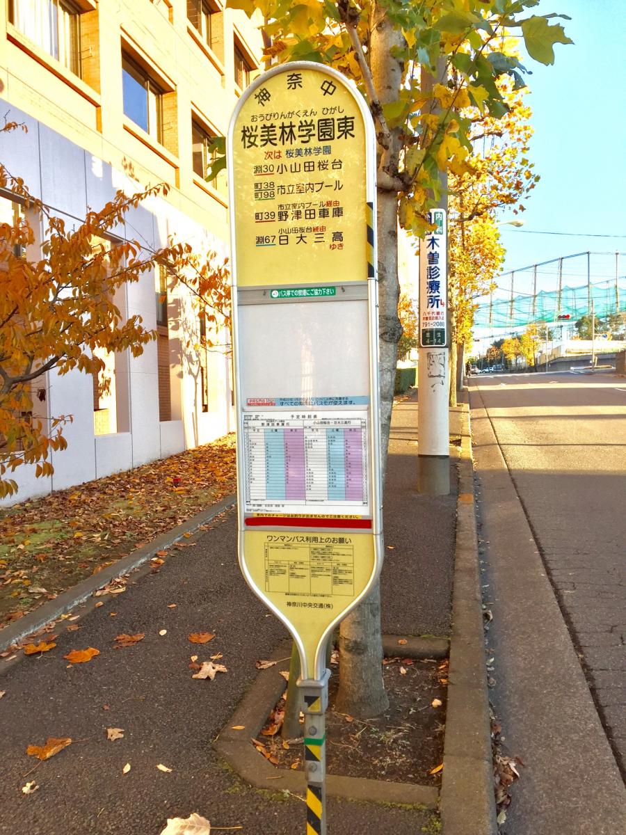 スタディピア 桜美林大学町田キャンパス 町田市 周辺施設 口コミ 写真 動画