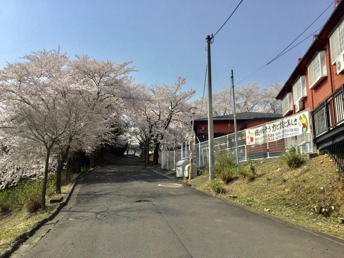 スタディピア 昭英高校 敦賀市