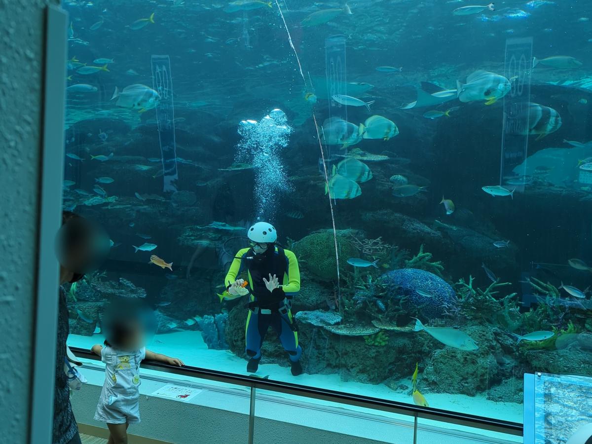 旅探 たびたん 名古屋港水族館