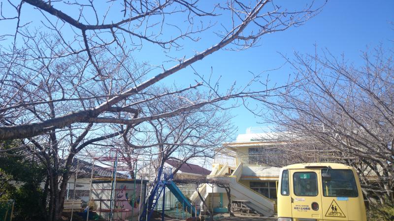 スタディピア 月見ヶ丘幼稚園 宮崎県宮崎市 投稿ユーザー写真集