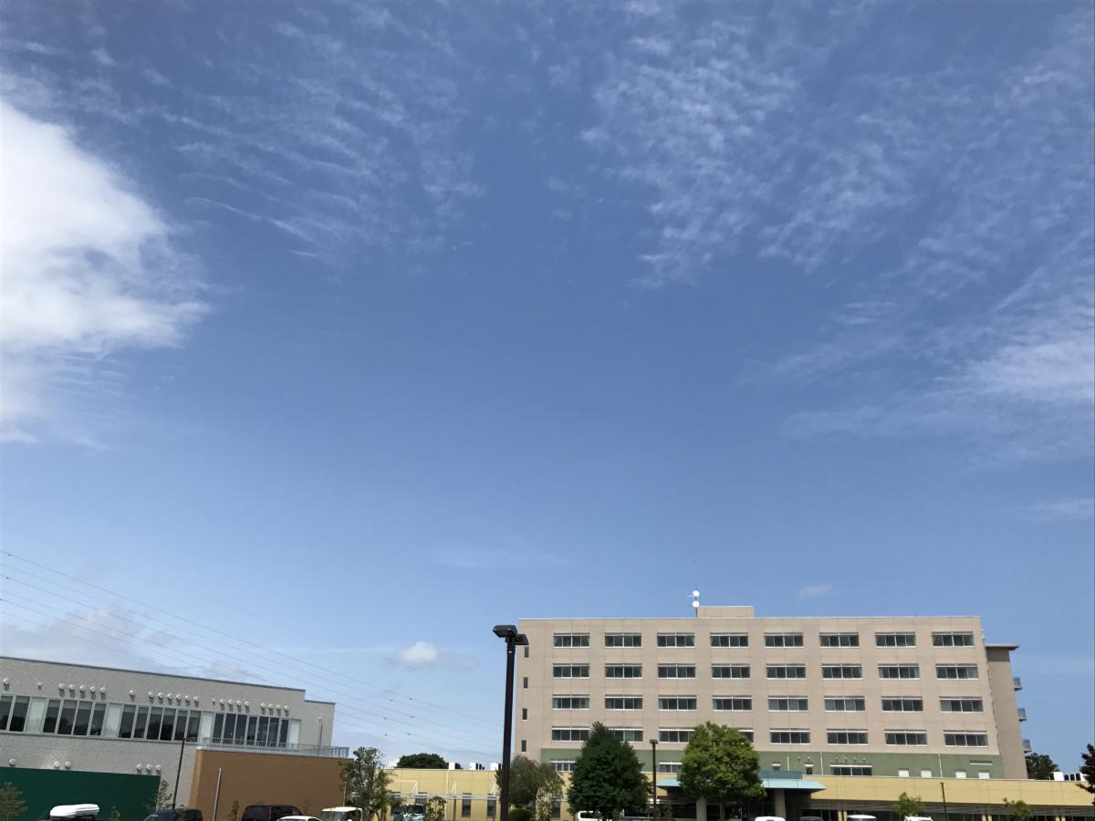 ドクターマップ 水戸中央病院 水戸市六反田町