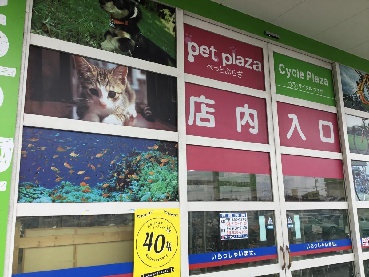 マーケットピア ペットプラザ 亀岡篠店 亀岡市 の投稿写真一覧 1ページ