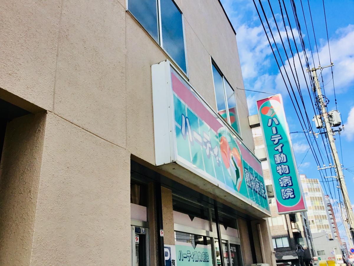 ドクターマップ 田代内科呼吸器科クリニック 札幌市中央区 周辺施設 口コミ 写真 動画 ドクターマップ 田代内科呼吸器科クリニック 札幌市中央区 周辺施設 口コミ 写真 動画