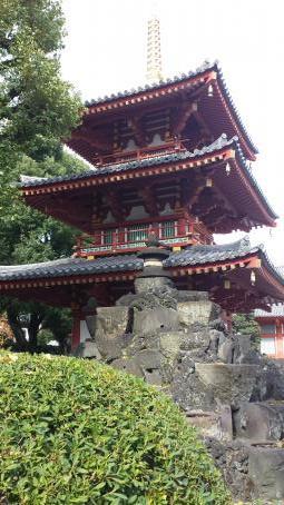 スタディピア 私立宝仙学園小学校 中野区 周辺施設 口コミ 写真 動画