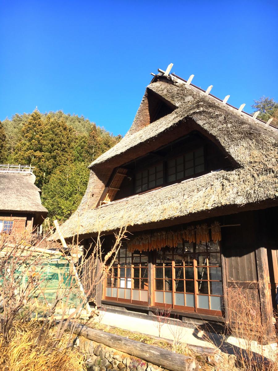 西湖いやしの里根場