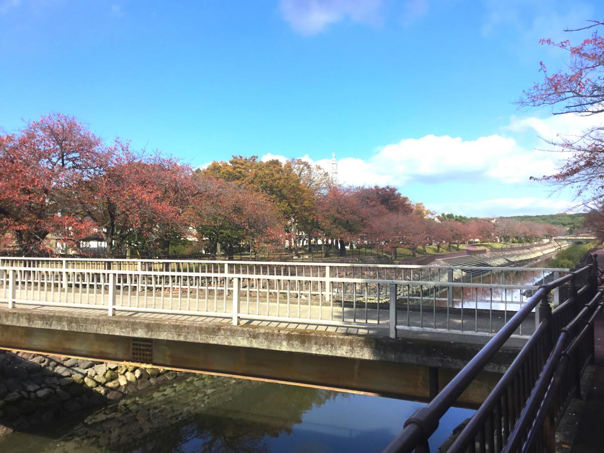パブリネット 平和市民公園 大分市萩原