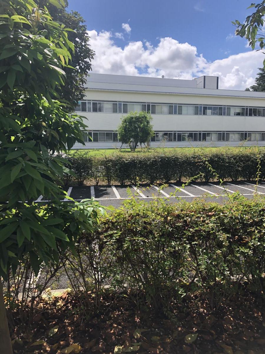 スタディピア 東京家政大学大学院 板橋区