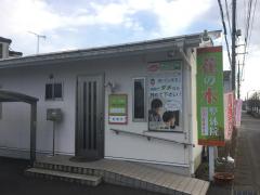 接骨ネット 花の木整骨院