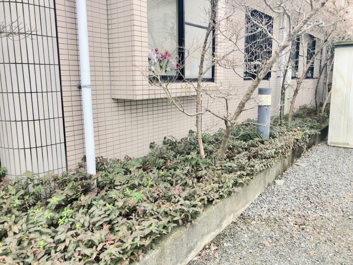 ドクターマップ 小川内科胃腸科医院 朝倉市甘木