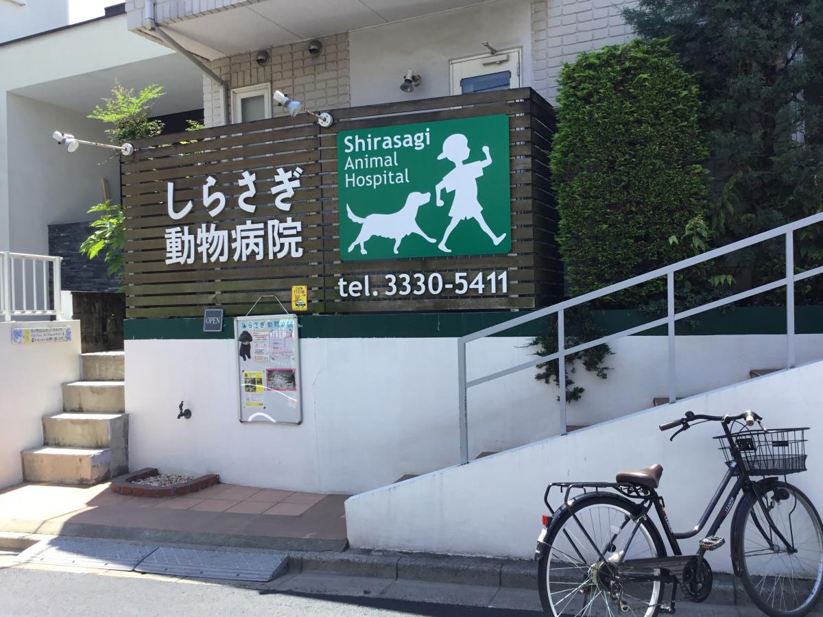 ドッグメディカル しらさぎ動物病院 中野区白鷺