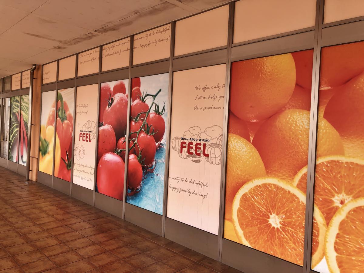 フィール津島店, フィールコーポレーション チラシ – TUQNOO