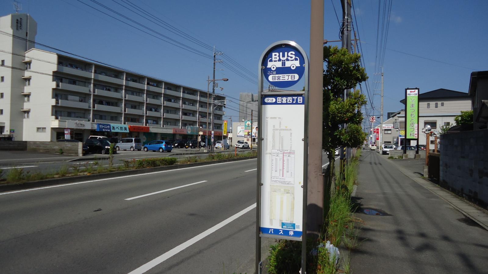 スポランド 徳島市陸上競技場 徳島市 周辺施設 口コミ 写真 動画