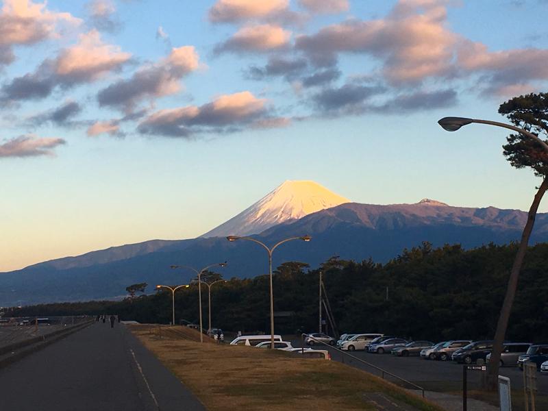 旅探 たびたん 千本松原