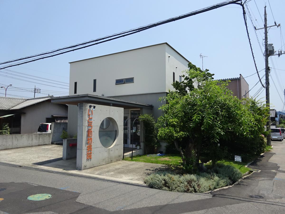 【ドッグメディカル】いとう動物病院（岡山市中区藤崎）